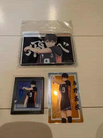 하이큐 베이스야드 도쿄 카게야마 토비오