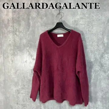 GALLARDAGALANTE 라쿤 오버 V 니트