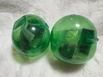 어깨 쿵 디어 소므니아 리리아 세벡