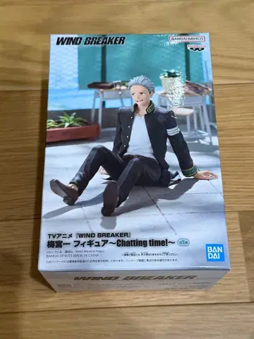 WIND BREAKER 우메미야 잇치 피규어 Chatting time!