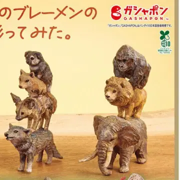 하시모토 미오 야수의 음악대 개의 음악대 세트