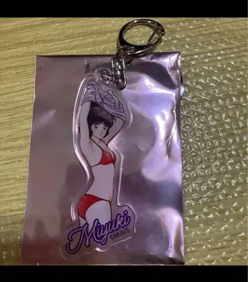 미유키 아다치 미츠루전 히로인 아크릴 참