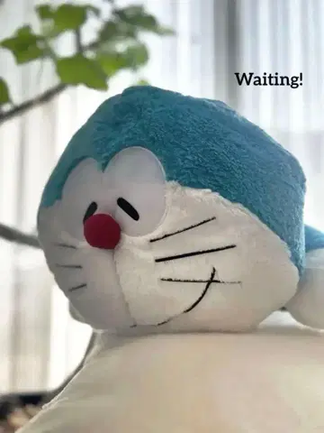 도라에몽 봉제 인형 BIG 사이즈 새상품 갓 나온 푹신푹신 도라짱