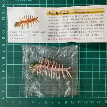 카이요도 하루키게니아 초콜라자우르스