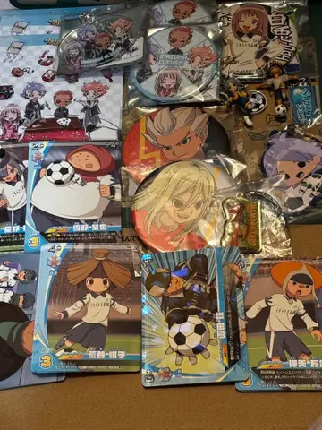 이나즈마 일레븐 후부키 시로 백련중 캔뱃지 피규어 키링 나에