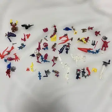 뼈뼈 자우르스 세트!