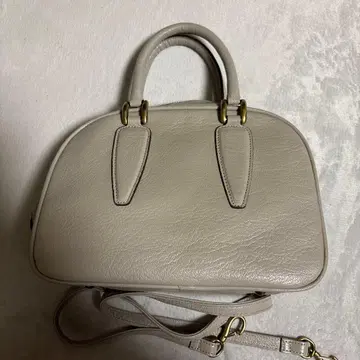 토프앤로드스톤 미니용 리자드 졸업식, 입학식