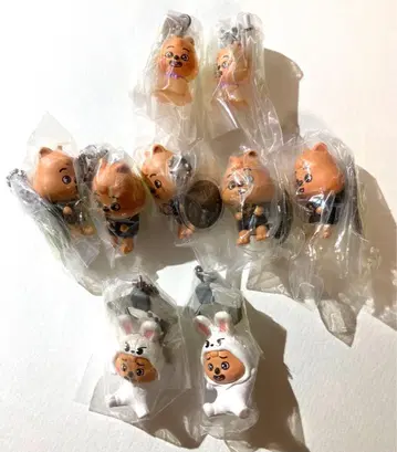 stray kids SKZOO 가챠 HAN QUOKKA