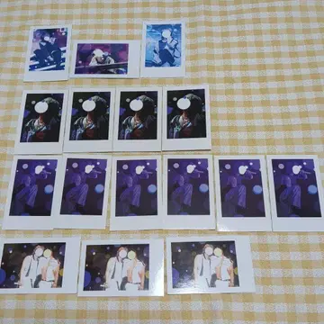 이레귤러이스 실사 폴라로이드 쇼토 무도관 2024 이레귤러 베케이션