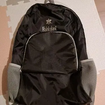 Hale Kulani 백팩 에코백 컴팩트