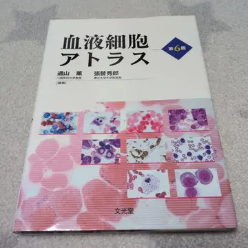 혈액 세포 아틀라스