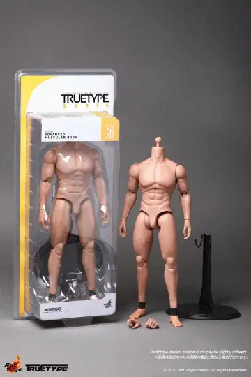 핫토이즈 HOTTOYS 백인 남성 어드밴스 매스큘러 바디