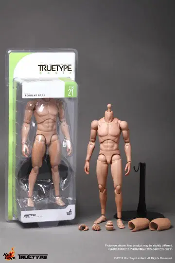 핫토이즈 HOTTOYS 백인 남성 레귤러 바디 01