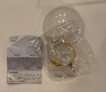 우리 아이 털뭉치 강아지 치와와 화이트