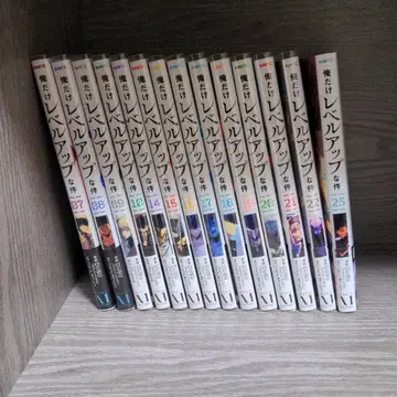 나 혼자만 레벨업