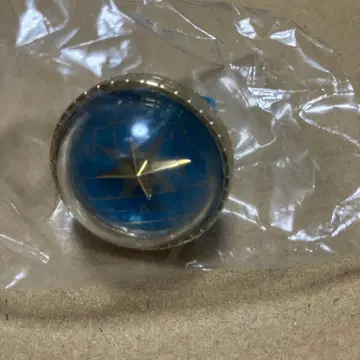 프로세카 안 링 라이트