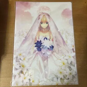 클리어 파일 세이버 Fate stay night 타케우치 타카시