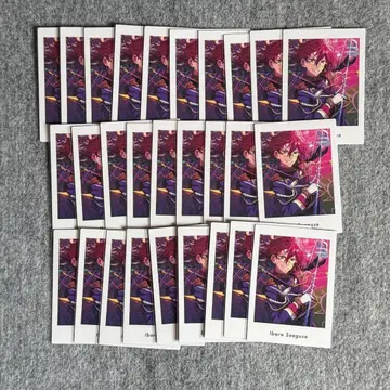 앙스타 파샤츠 vol.6 action 이바라