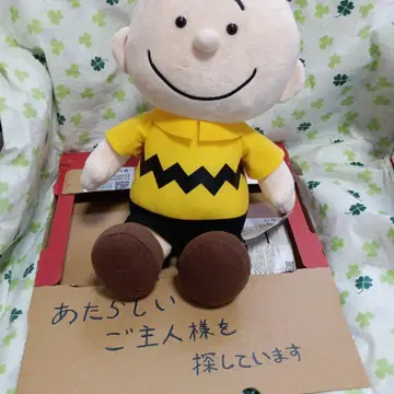 찰리 브라운 SNOOPY 봉제 인형 460cc DR 적응 사이즈