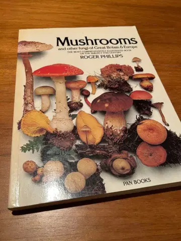 Mushrooms Roger Phillips 버섯 도감 외국도서