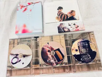 나의 행복한 결혼 럭셔리판 DVD SnowMan 메구로 렌