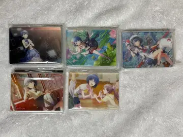 프로세카 노블 아트 오동나무 묶음 판매