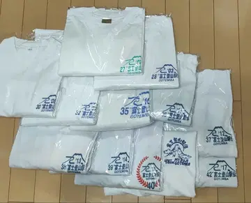 후지 등산 역전 T셔츠 12장 세트