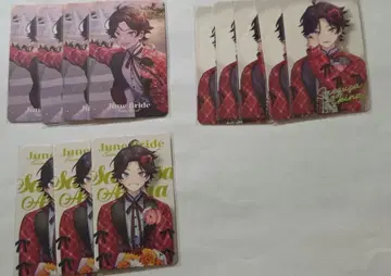 니지산지 사에구사 아키나 폴라로이드 묶음 판매