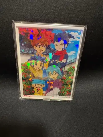 이나즈마 일레븐 GO 아니메쥬 호로 아크릴 스탠드 2-F