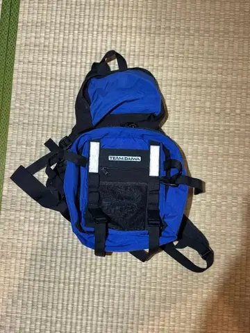 TEAM DAIWA 백팩