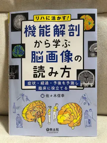 기능 해부학에서 배우는 뇌 이미지 판독법