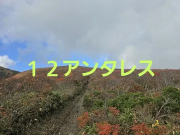 12 안타레스 HG 왼쪽