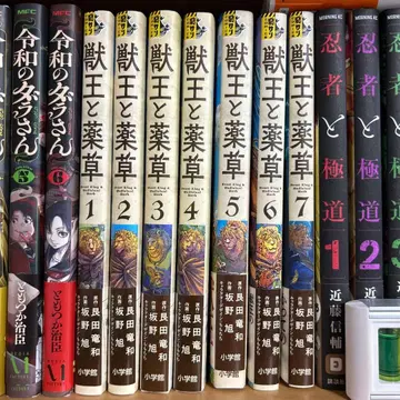 수왕과 약초 1-7권 세트