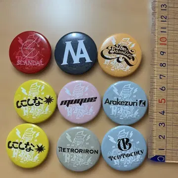 레이디클 캔뱃지