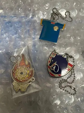 이나즈마 일레븐 참 키링 캔 케이스 포함