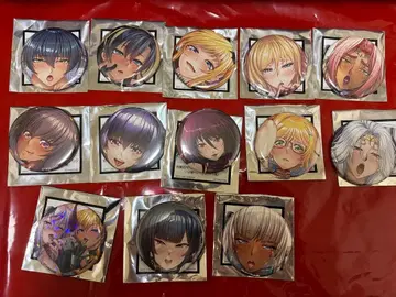 대마인 RPGX 데레 얼굴 히로인 캔뱃지 12종+시크릿 1종 전종 컴프