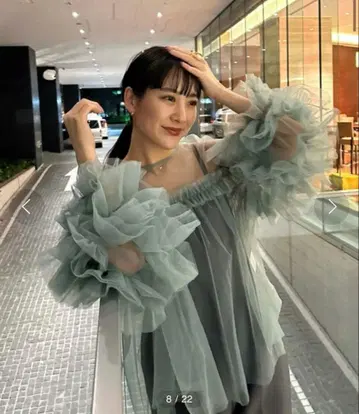 장식적인 튤 상의 decorative tulle tops