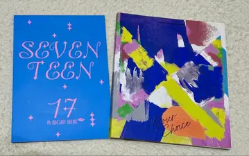 SEVENTEEN Your Choice 2CD 특전 포함