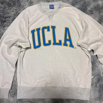 UCLA 그레이 트레이닝복