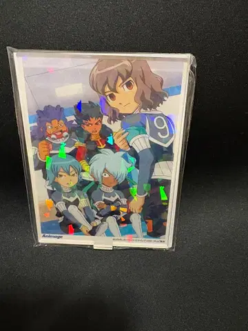 이나즈마 일레븐 GO 애니메지움 호로 아크릴 스탠드 4-E