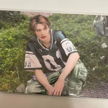 우에무라 켄신 KENSHIN Fiesta 패널