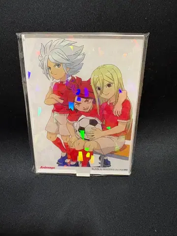 이나즈마 일레븐 애니메이트 호로 아크릴 스탠드 1-B