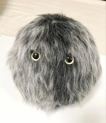 nemoph 네모프 오야스미 로봇