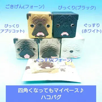 퍼그 팬 필견 [키탄클럽] 하코퍼그 5종 폰 블랙 화이트