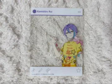 프로세카 카미시로 루이 카미고 문화제 아크릴 카드