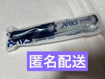 SnowMan Dome Tour2024 RAYS 응원봉