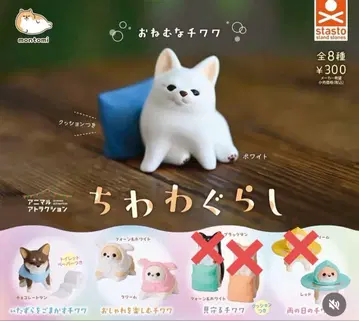 치와와 라이프 치와와 5체 세트