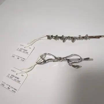 agnis b 애니에스 베이 헤어 클립 세트