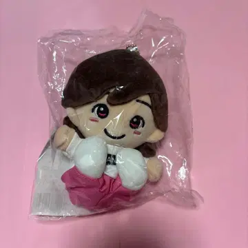 미치에다 슌스케 치비 누이