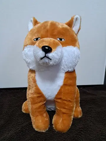 AMU-PUN 쿄무쿄무 구락부 시바견 봉제 인형 빅